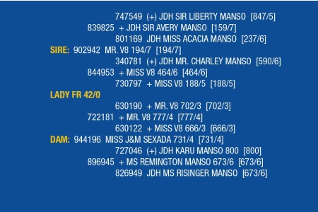 LOT 061 - LADY FR 57/0 / LOT 069 - LADY FR 42/0 / LOT 070 - LADY FR 52/0 (PICK 3)
