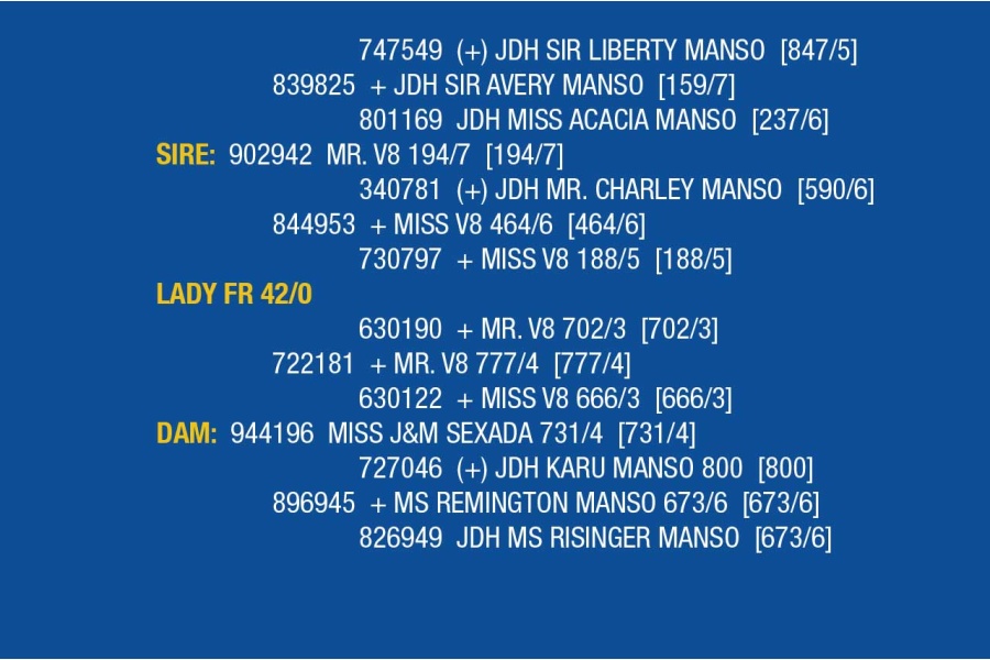 LOT 061 - LADY FR 57/0 / LOT 069 - LADY FR 42/0 / LOT 070 - LADY FR 52/0 (PICK 3)