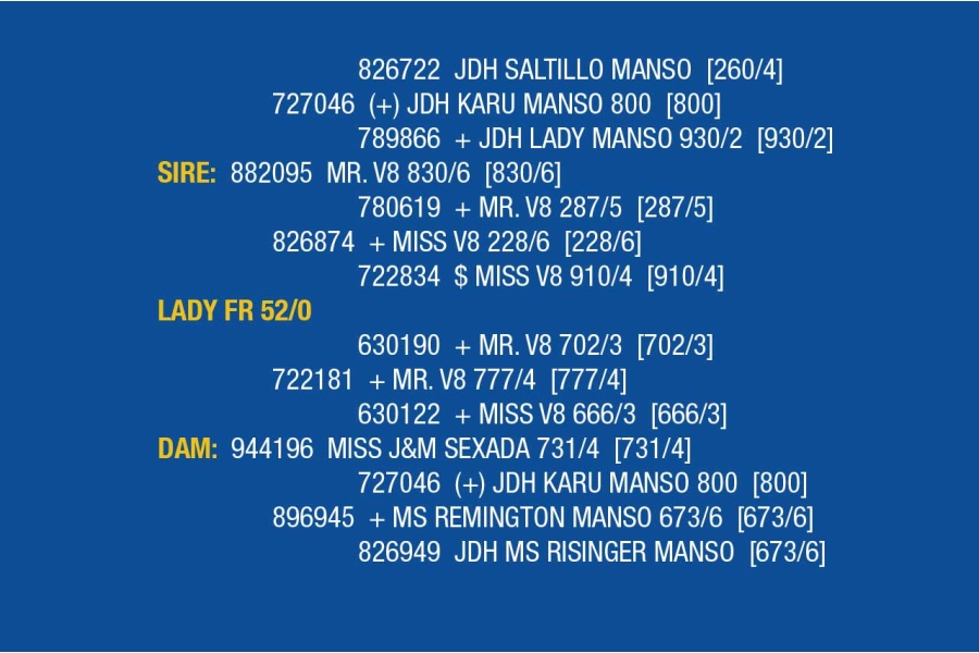 LOT 061 - LADY FR 57/0 / LOT 069 - LADY FR 42/0 / LOT 070 - LADY FR 52/0 (PICK 2)