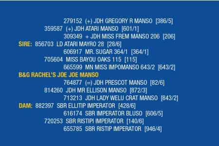 LOT 071 - B&G RACHEL’S JOE JOE MANSO / LOT 076 - BNH MS. SUCRATA MANSO (PICK 1)