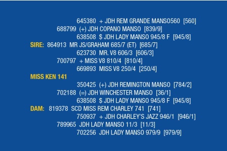 LOT 072 - MISS KEN 141