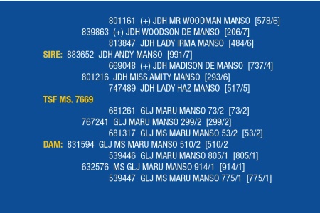 LOT 077 - TSF MS. 7669