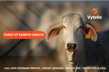 LOT 16 - VYTELLE 3 EMBRYO CREDIT