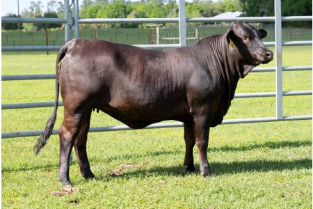 LOT 18 - UF 24/903