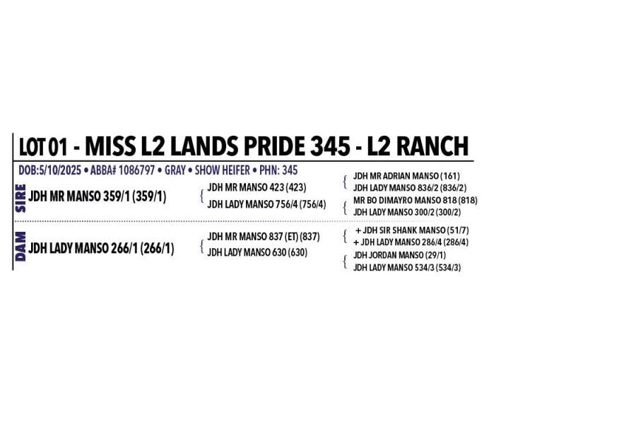 LOT 001 - MISS L2 LANDS PRIDE 345