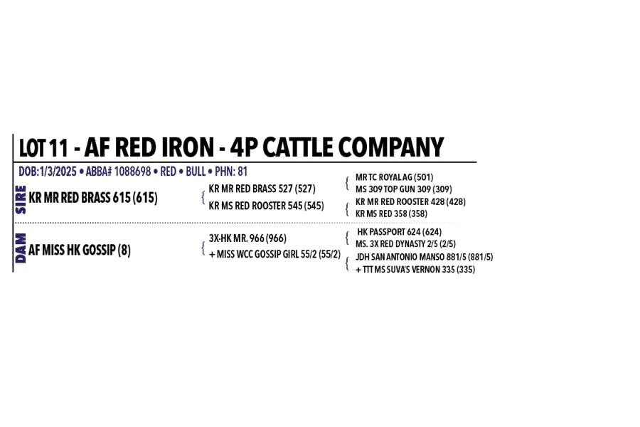 LOT 011 - AF RED IRON