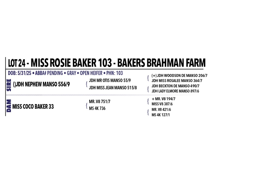 LOT 024 - MISS ROSIE BAKER 103, LOT 023 PICK OR X THE MONEY OF LOTS CHOSEN