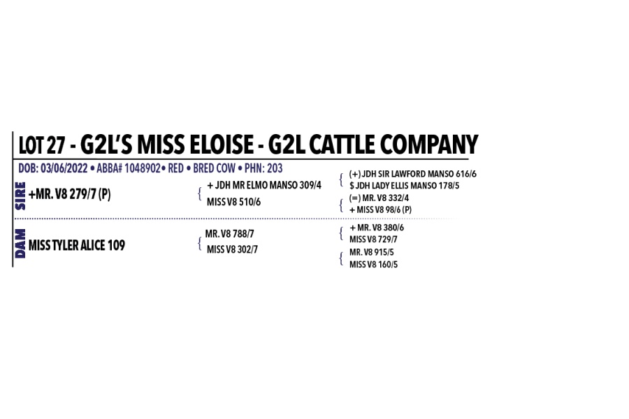 LOT 027 - G2L’S MISS ELOISE