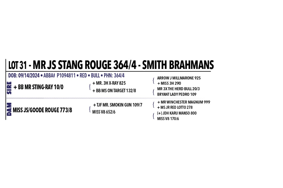 LOT 031 - MR JS STANG ROUGE 364/4