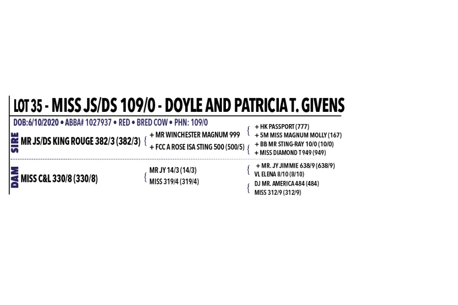 LOT 035 - MISS JS/DS 109/0, LOT 034 PICK OR X THE MONEY OF LOTS CHOSEN