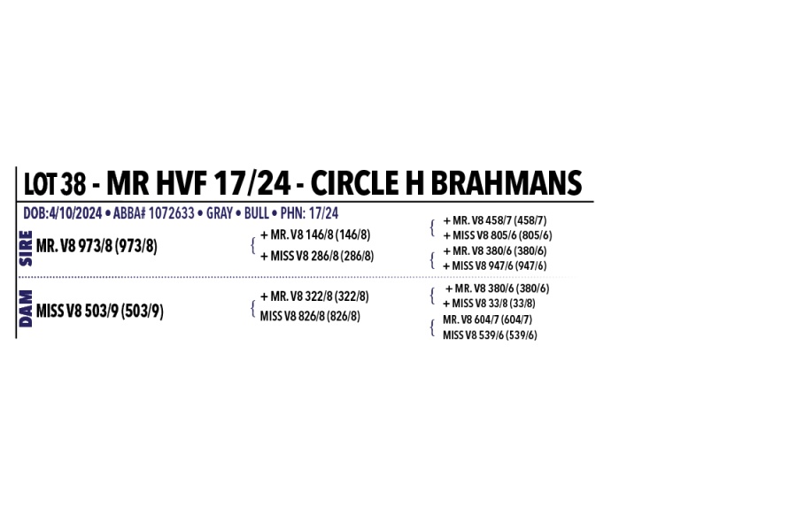 LOT 038 - MR HVF 17/24