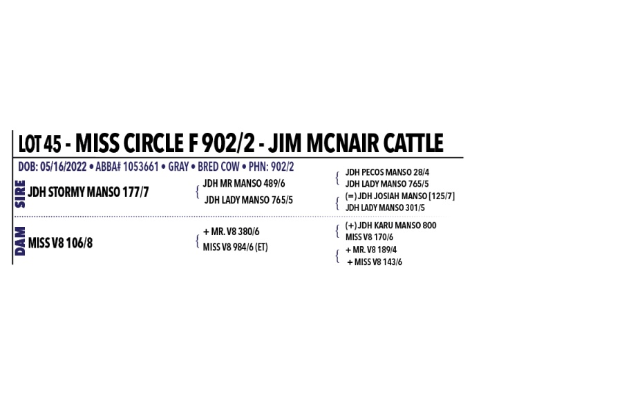 LOT 045 - MISS CIRCLE F 902/2
