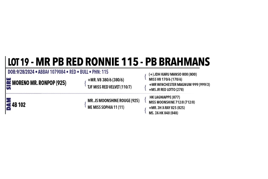 LOT 019 - MR PB RED RONNIE 115