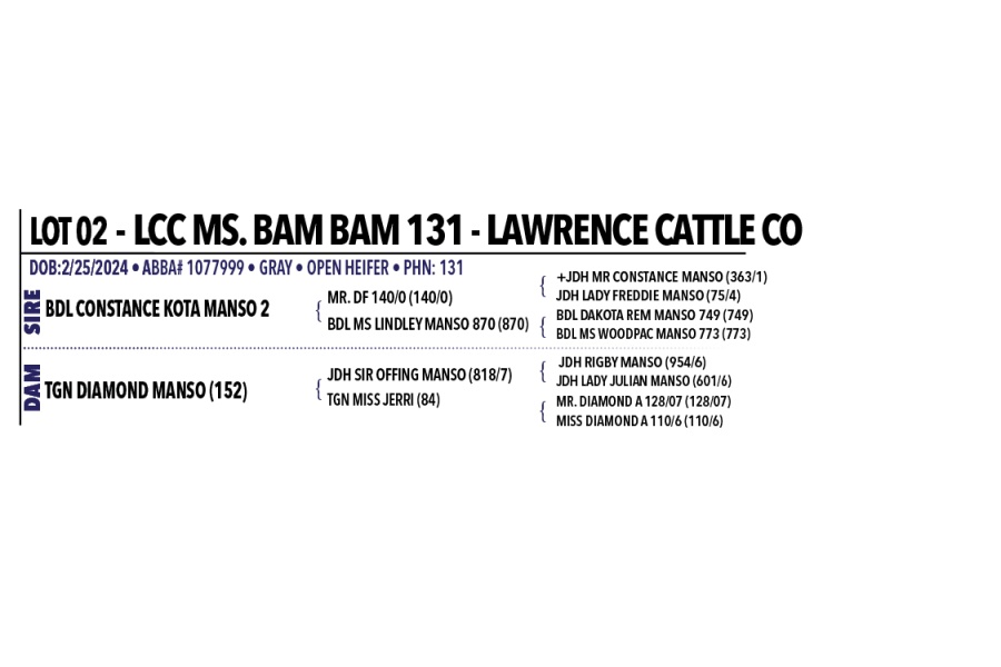 LOT 002 - LCC MS. BAM BAM 131