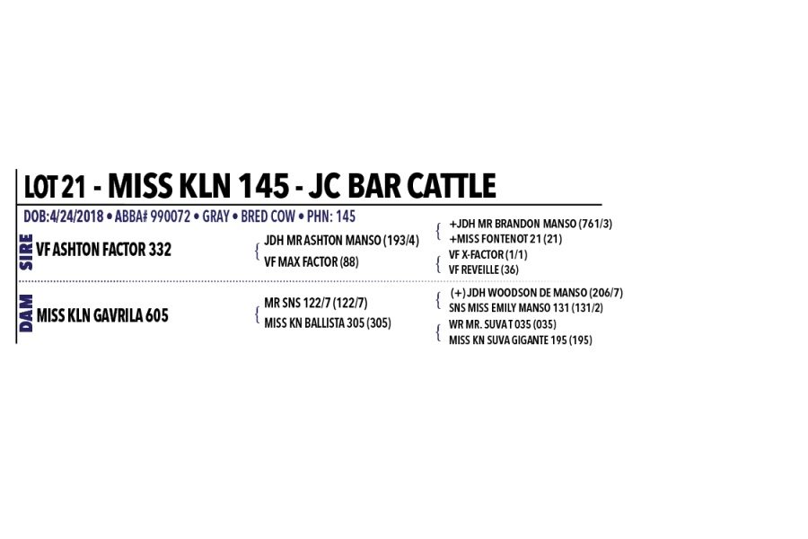 LOT 021 - MISS KLN 145