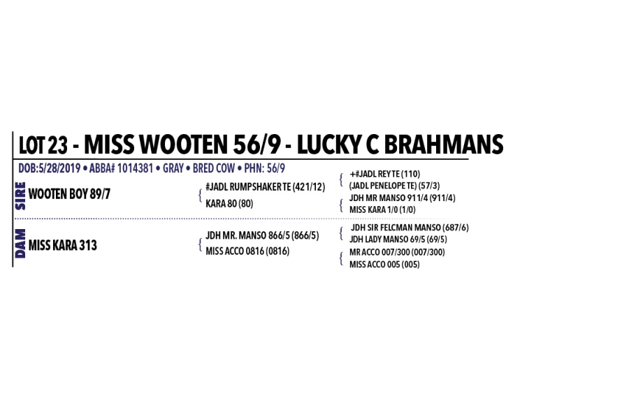 LOT 023 - MISS WOOTEN 56/9