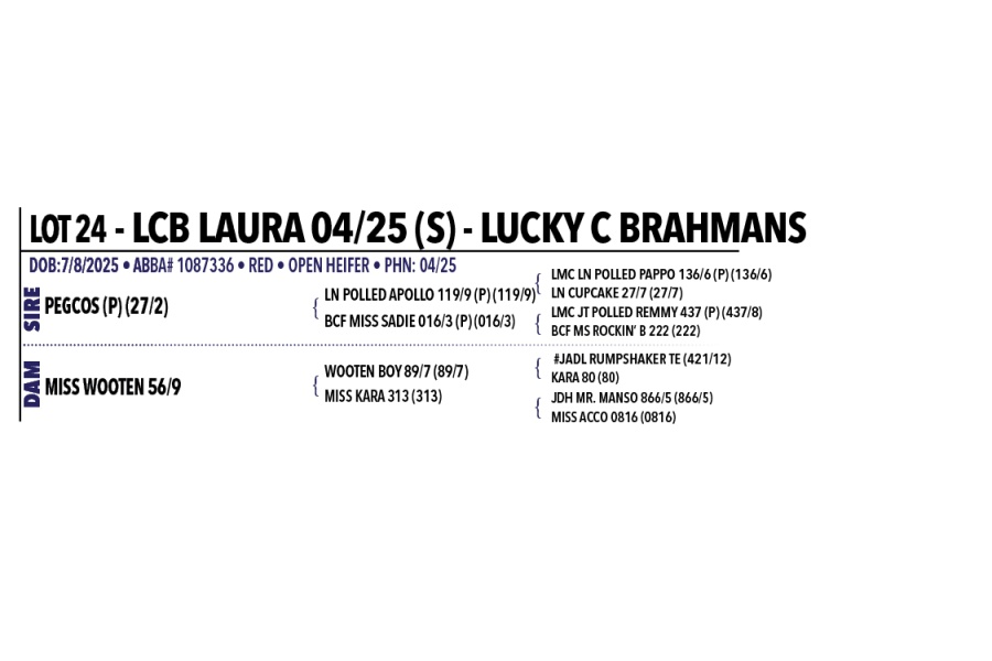 LOT 024 - LCB LAURA 04/25 (S)