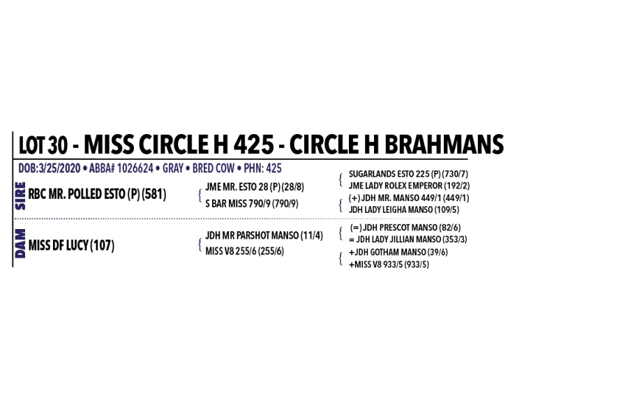 LOT 030 - MISS CIRCLE H 425