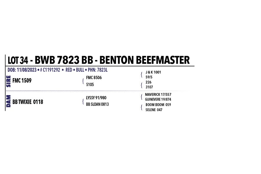 LOT 034 - BWB 7823 BB