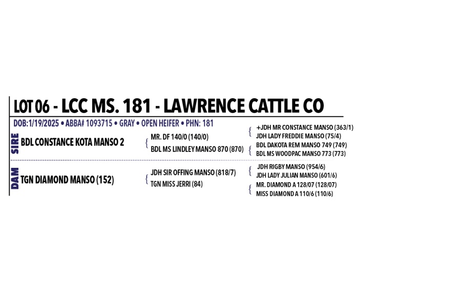 LOT 006 - LCC MS. 181