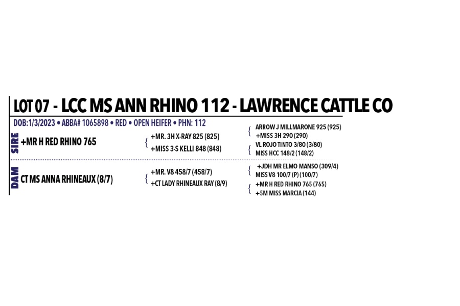 LOT 007 - LCC MS ANN RHINO 112