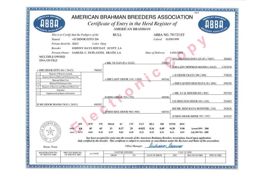 +JJ DIDOR ESTO 204/2 SEMEN PACKAGE - USA ONLY