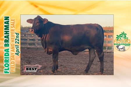 LOT 14 - INFO COMING SOON