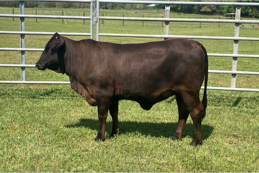 LOT 13 - UF 902/3