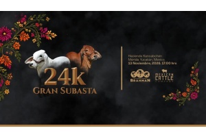 24K GRAN SUBASTA