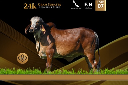 LOT 07 - AMR DOÑA IA 662/2
