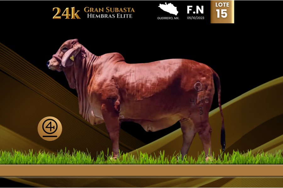 LOT 15 - AGUACATILLO LA VICTORIA TE 446/3