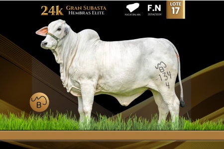 LOT 17 - ABA CHIQUITINA IA 134/4