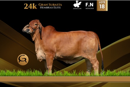 LOT 18 - CGSG SRITA TARAY IA 2471/3