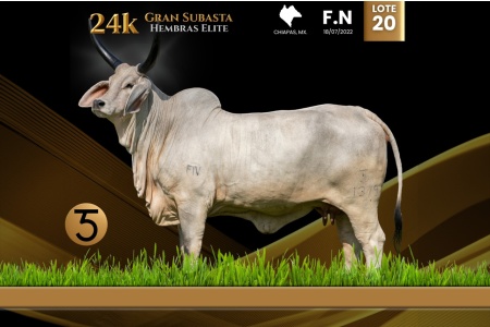 LOT 20 - JAO ESMERALDA V FIV 1379/2