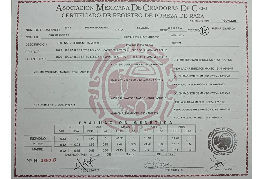 LOT 06 - CRB 3M TE 955/3