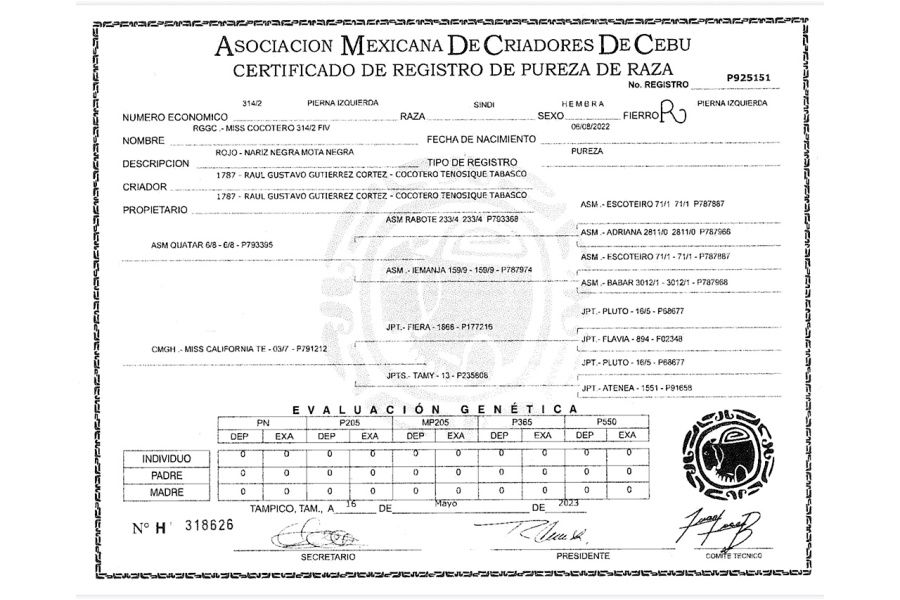 LOT 13 - RGGC - MISS COCOTERO FIV 314/2