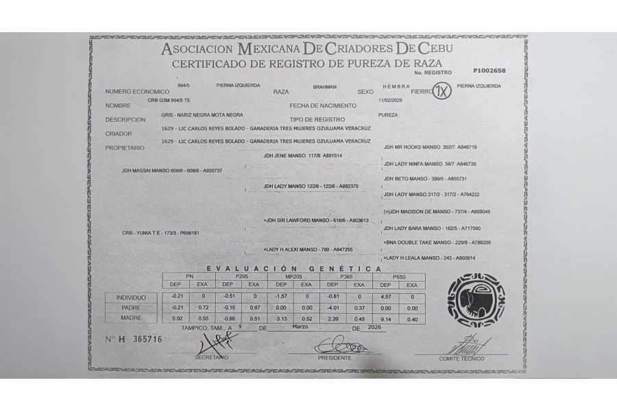 LOTE 10 - CRB G3M 994/5 TE
