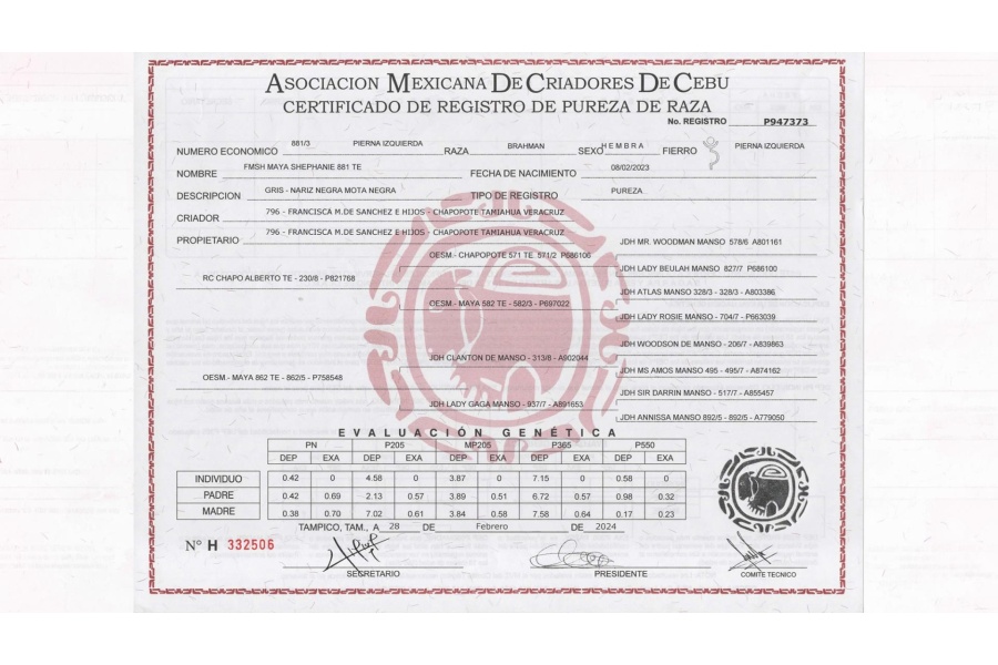 LOTE 14 - FMSH MAYA SHEPHANIE 881 TE