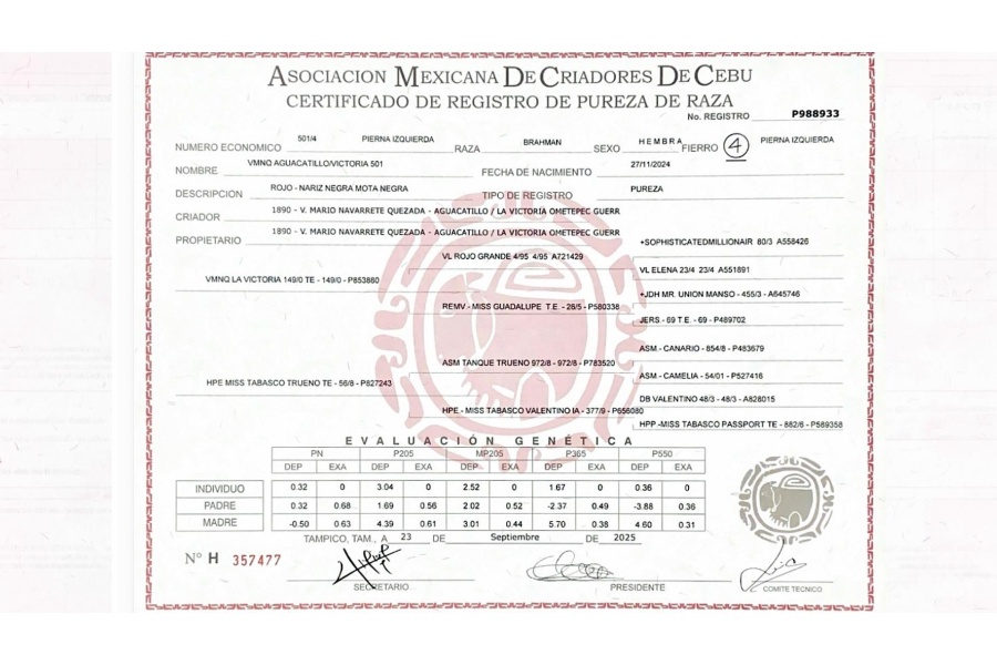 LOTE 15 - VMNQ AGUACATILLO/VICTORIA 501