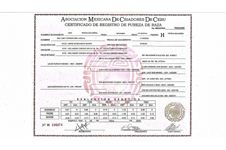 LOTE 16 - DAC LADY COPOSO RED LEGS IA 148/3