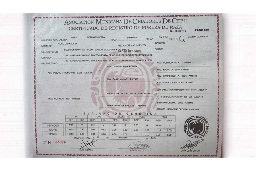 LOTE 18 - CGSG GRANADA TE 2682/5