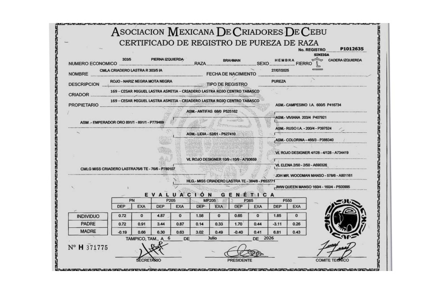 LOTE 02 - CMLA CRIADERO LASTRA R 303/5 IA