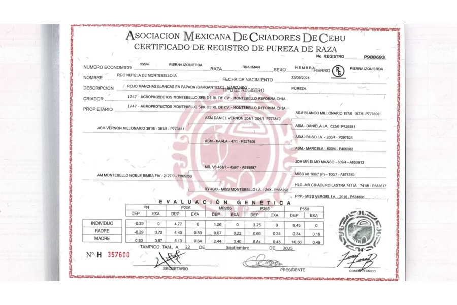 LOTE 22 - RGO NUTELA DE MONTEBELLO IA 595/4