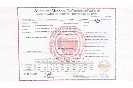 LOTE 23 - V5 011/4 IA