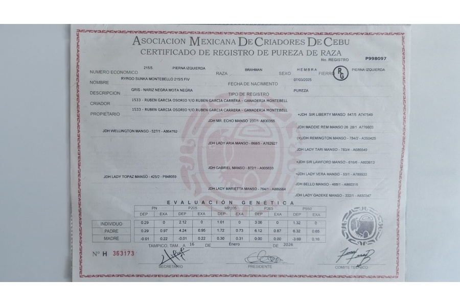 LOTE 05 - RYRGO SUNKA MONTEBELLO 215/5 FIV