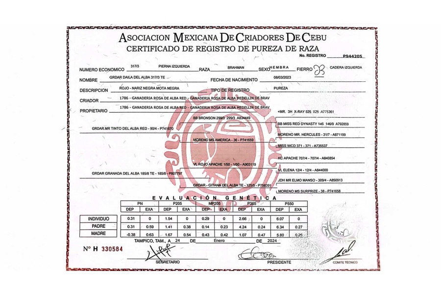 LOTE 06 - GRDAR DAILA DEL ALBA 317/3 TE