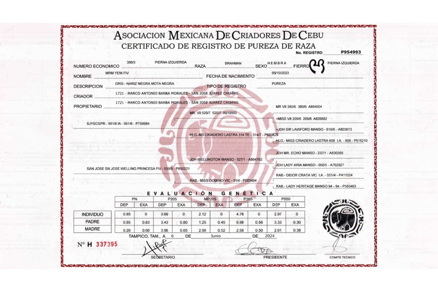 LOTE 07 - MRM YENI FIV 306/3