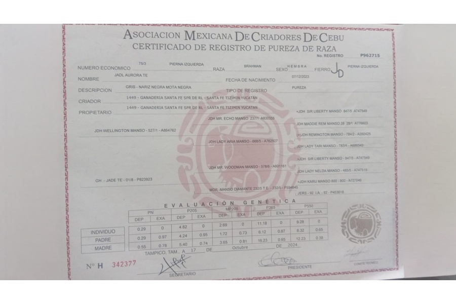 LOTE 09 - JADL AURORA TE 75/3