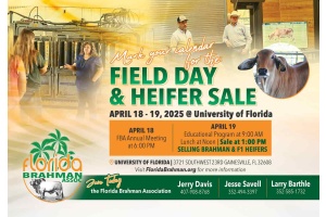FLORIDA BRAHMAN HEIFER SALE