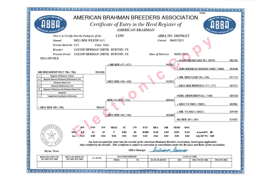 LOT 06 - MISS BER JOLENE 41/1 - IVF FLUSH